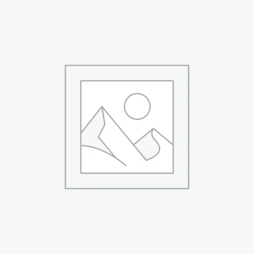 CarPlay Lite Marketplace